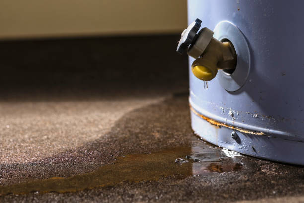 Best Basement water damage restoration  in Pine Beach, NJ