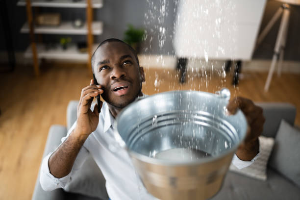 Best Water damage restoration services  in Pine Beach, NJ