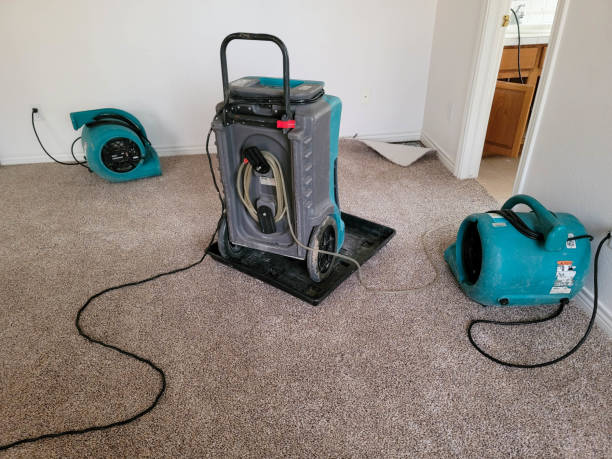 Best Fire Damage Restoration  in Pine Beach, NJ