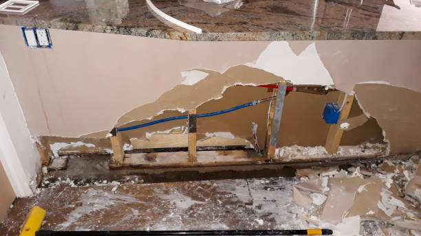 Best Water damage contractors near me  in Pine Beach, NJ