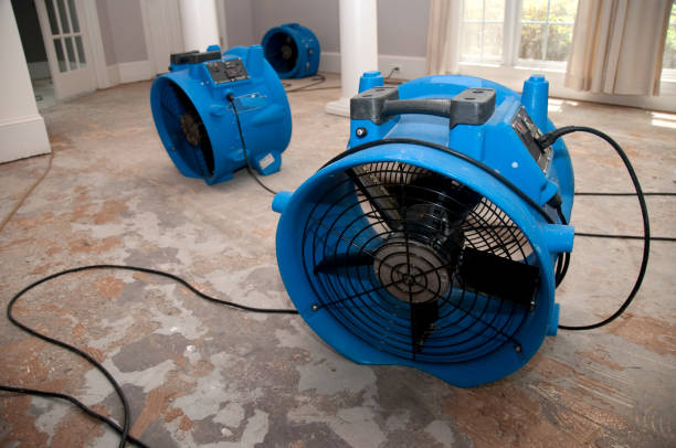 Best Sewage cleanup and water damage restoration  in Pine Beach, NJ