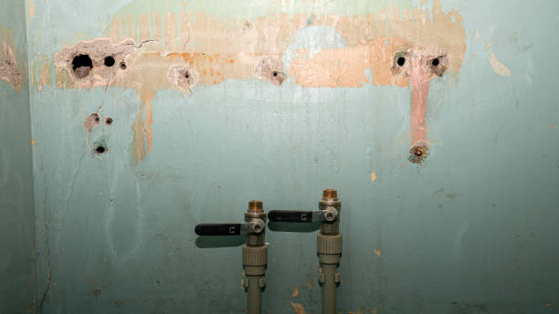 Best Water damage restoration near me  in Pine Beach, NJ