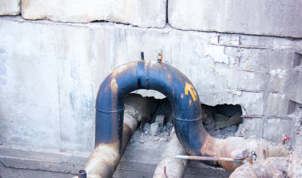 Best Water damage restoration near me  in Pine Beach, NJ