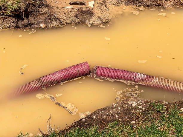 Best Local water damage restoration  in Pine Beach, NJ