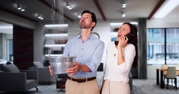 Best Ceiling water damage repair  in Pine Beach, NJ